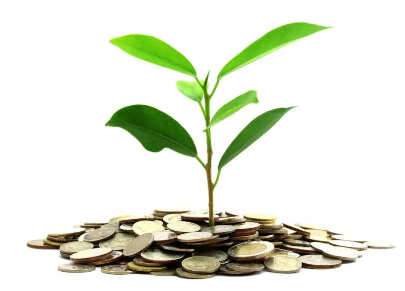 Инвестиции SKF в сохранение экологии | Свежие новости в Калуге